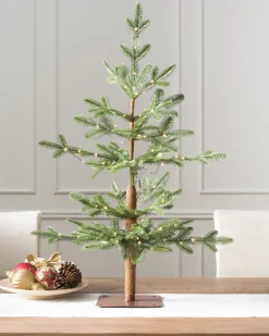 Alpine Balsam Fir Tabletop