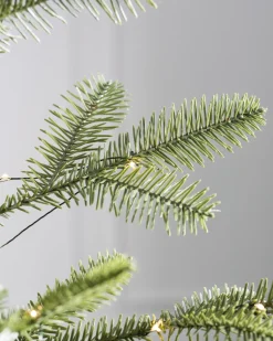 Alpine Balsam Fir Tabletop
