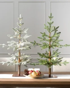 Alpine Balsam Fir Tabletop