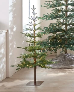 Alpine Balsam Fir Tabletop