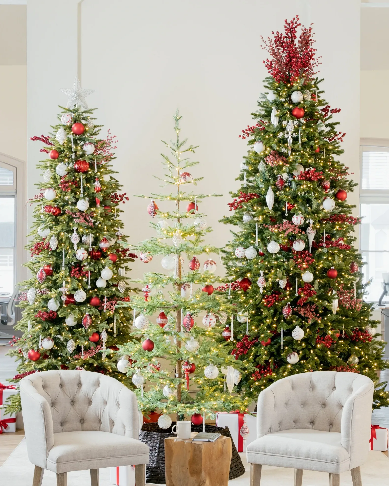 Alpine Balsam Fir Trees