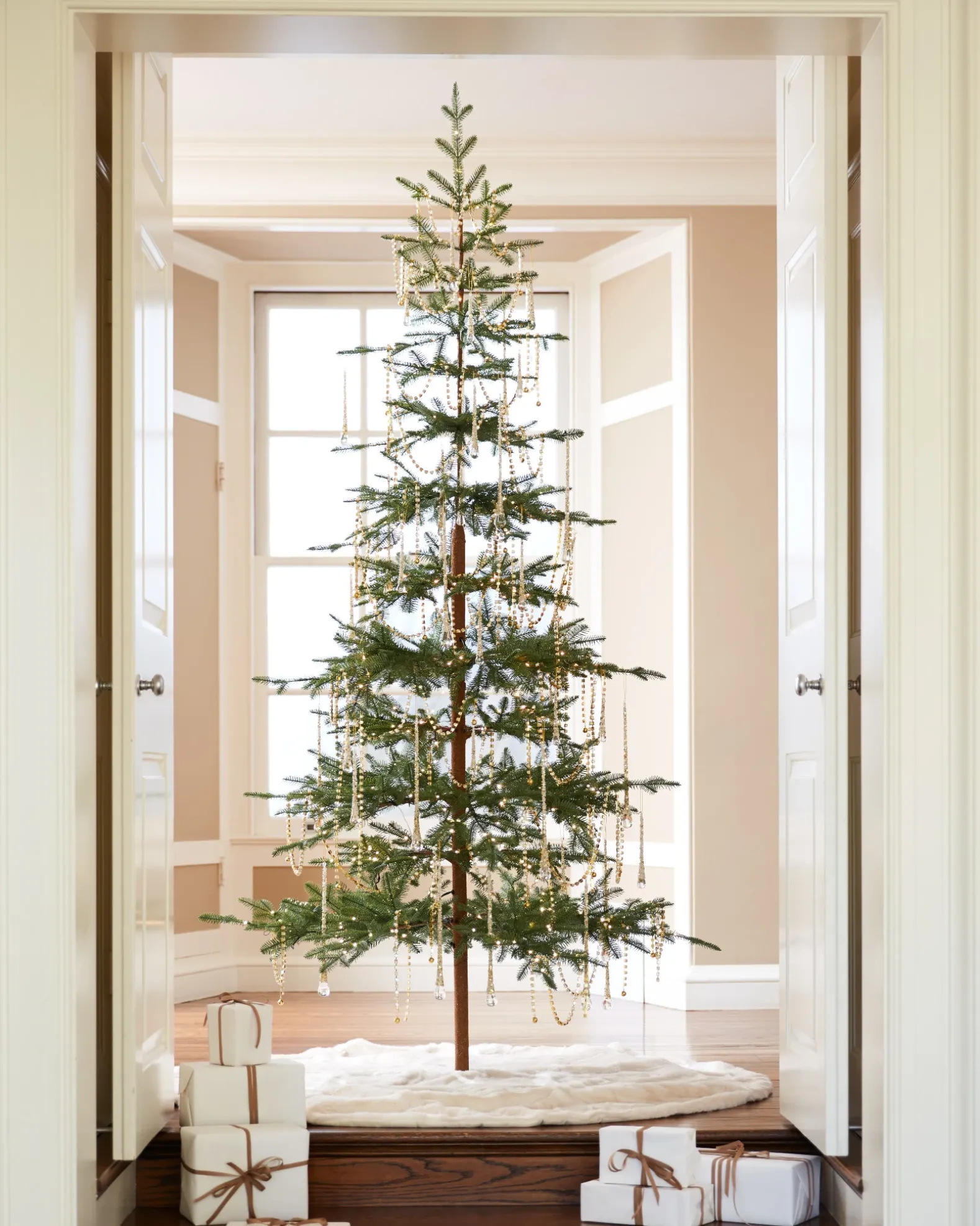 Alpine Balsam Fir Trees