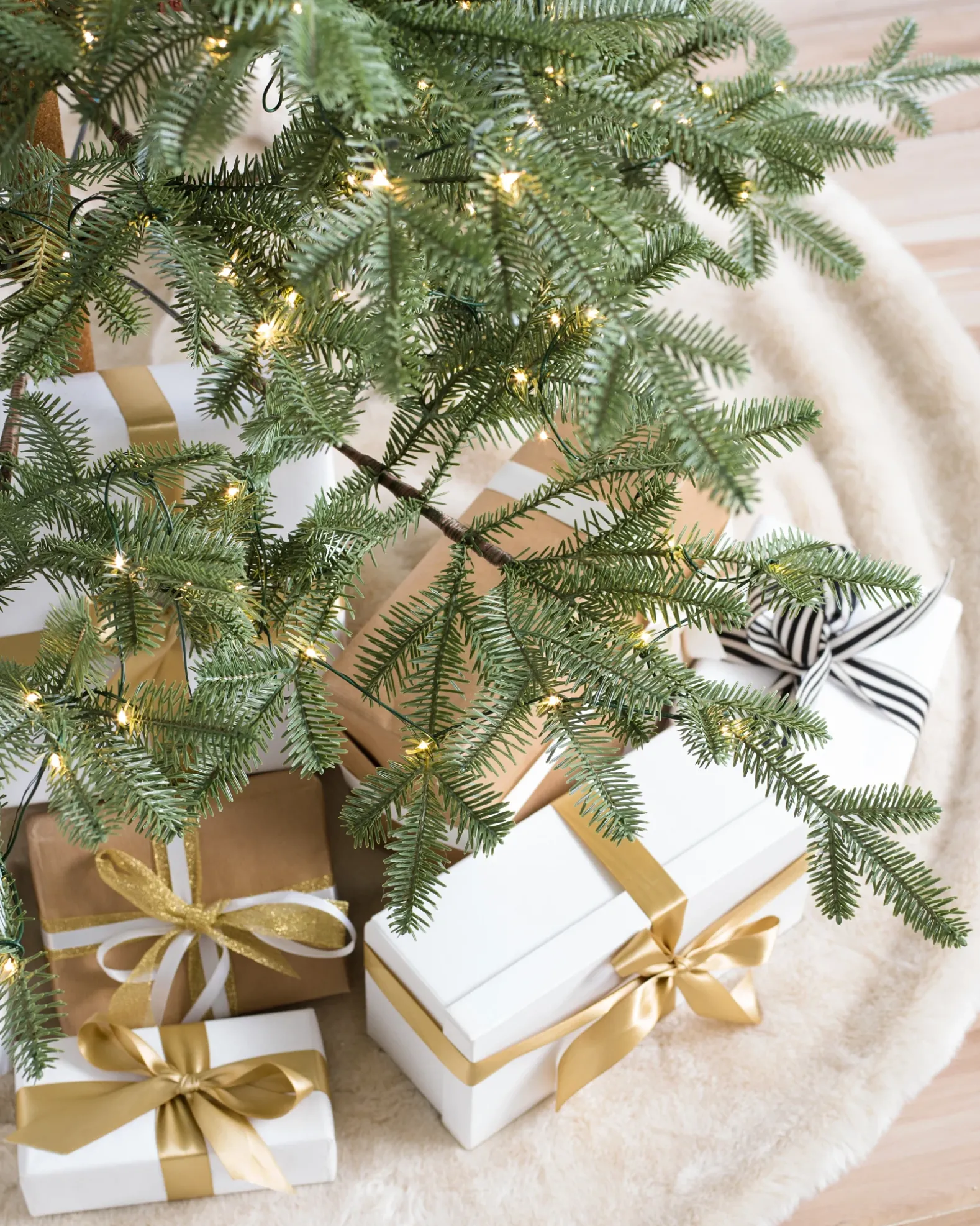 Alpine Balsam Fir Trees