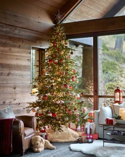 Après-Ski Ornament Collection