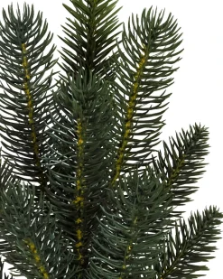 Aspen Estate Fir® ReNEW™