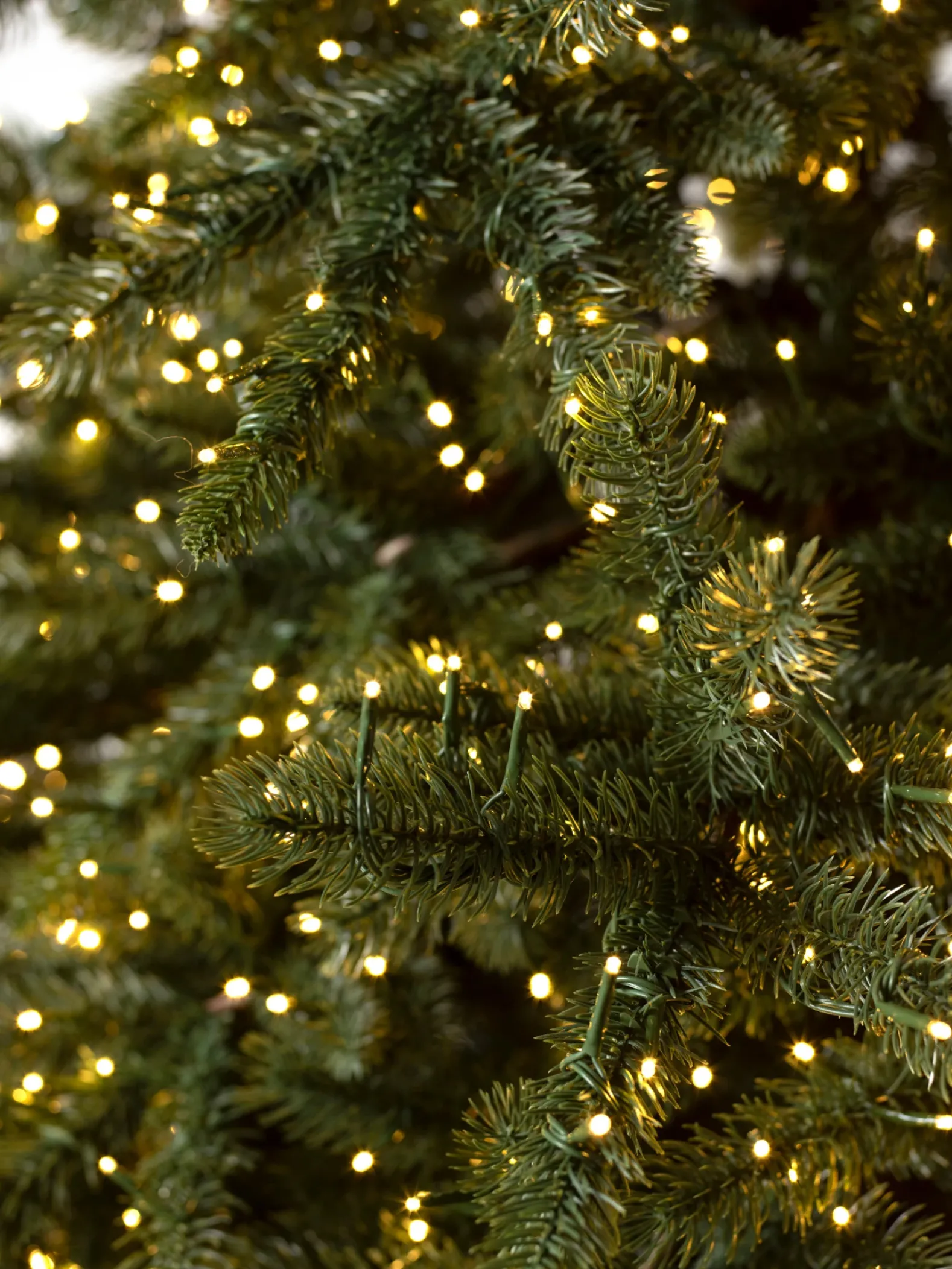 Aspen Estate Fir® Trees