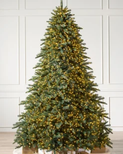 Aspen Estate Fir® Trees
