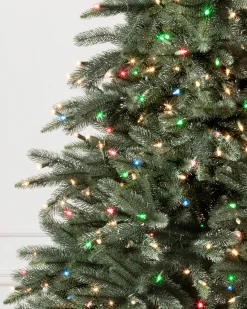 Aspen Estate Fir® Trees