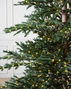 Aspen Silver Fir® ReNEW™