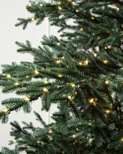 Aspen Silver Fir® ReNEW™