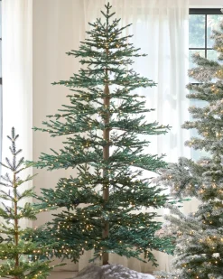 Aspen Silver Fir® ReNEW™