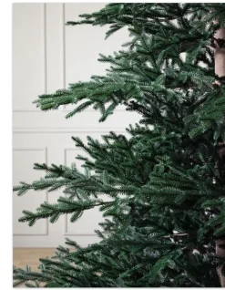 Aspen Silver Fir® ReNEW™