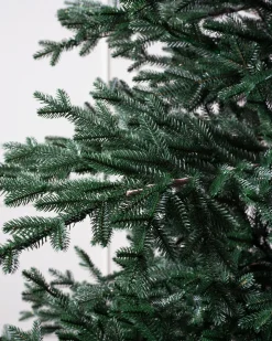 Aspen Silver Fir® ReNEW™