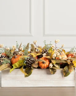 Autumn Abundance Foliage