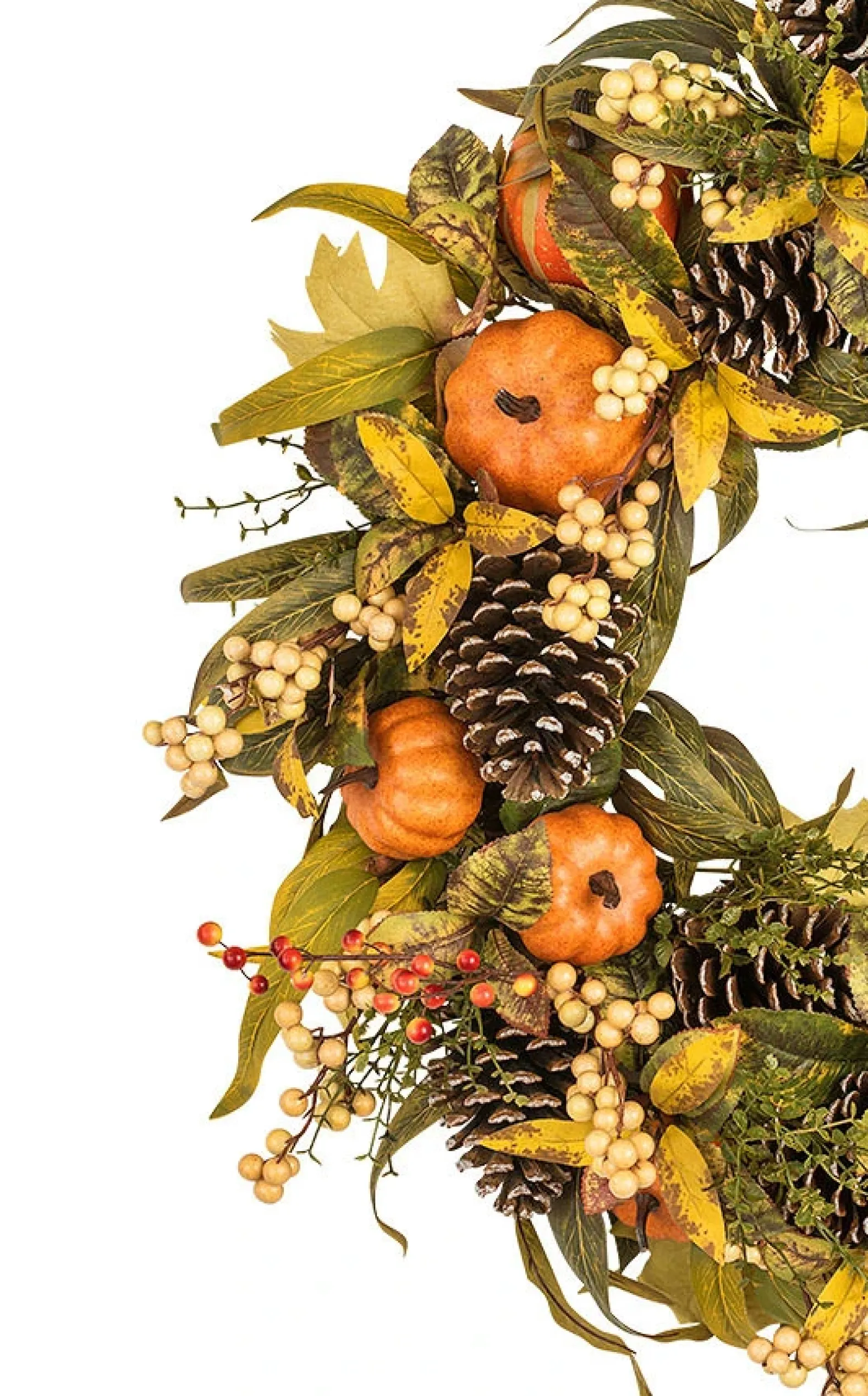 Autumn Abundance Foliage