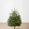 Baby Nordmann Artificial Tabletop Christmas Trees