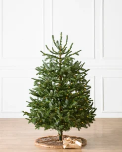 Baby Nordmann Artificial Tabletop Christmas Trees