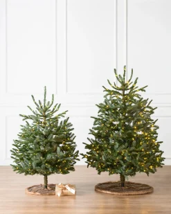 Baby Nordmann Artificial Tabletop Christmas Trees
