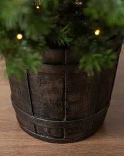 Baby Yukon Spruce® Potted Trees