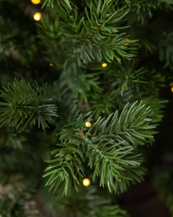 Baby Yukon Spruce® Potted Trees