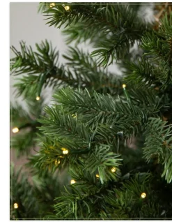 Baby Yukon Spruce® Potted Trees