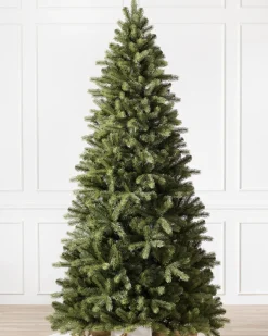 Bellevue Spruce Trees