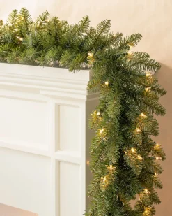 Berkshire Mountain Fir® Foliage