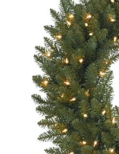 Berkshire Mountain Fir® Foliage