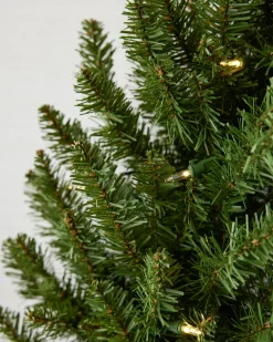 Berkshire Mountain Fir® Foliage