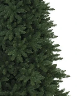 Berkshire Mountain Fir Trees