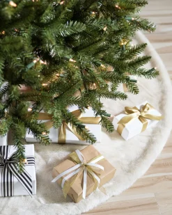 Berkshire Mountain Fir Trees