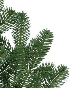 BH Balsam Fir Foliage