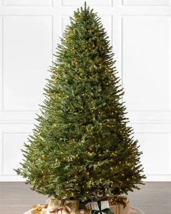BH Balsam Fir® ReNEW™