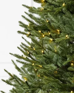 BH Balsam Fir® ReNEW™