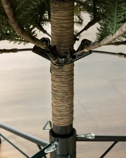 BH Balsam Fir® ReNEW™