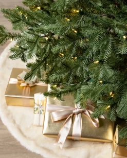 BH Balsam Fir® ReNEW™