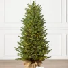 BH Balsam Fir Tabletop
