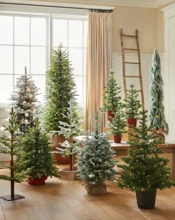 BH Balsam Fir Tabletop