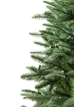 BH Balsam Fir Tabletop