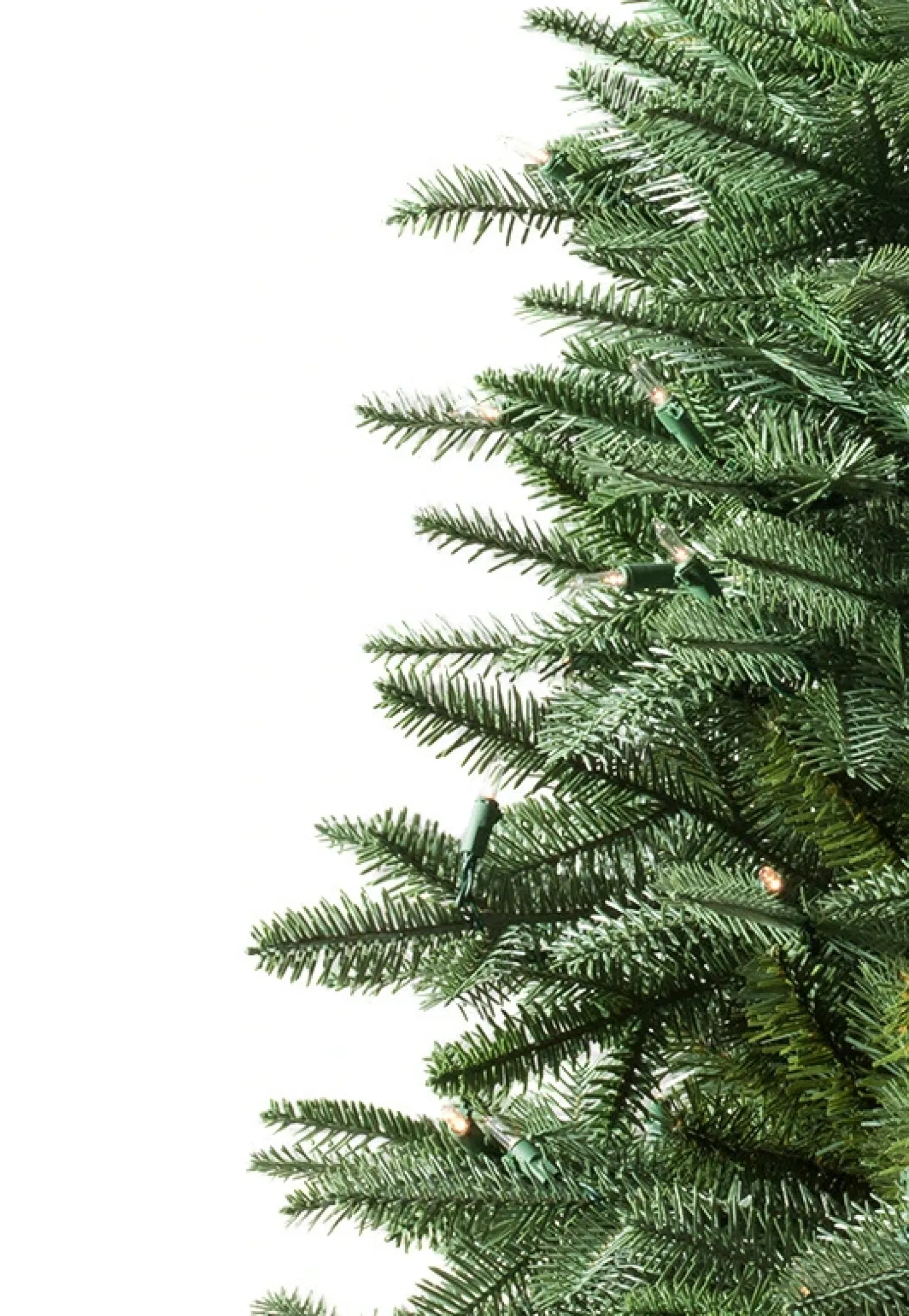 BH Balsam Fir Tabletop