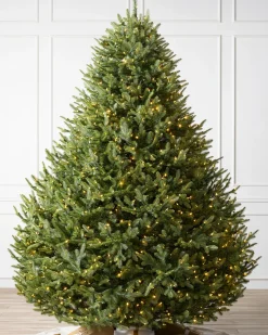 BH Balsam Fir® Trees