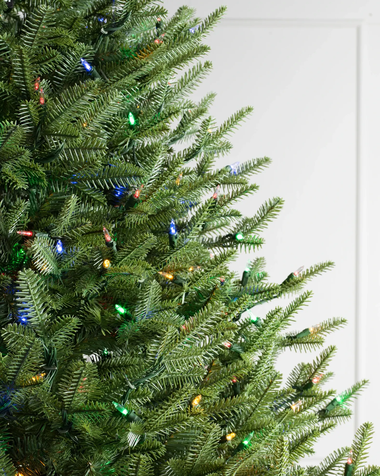 BH Balsam Fir® Trees