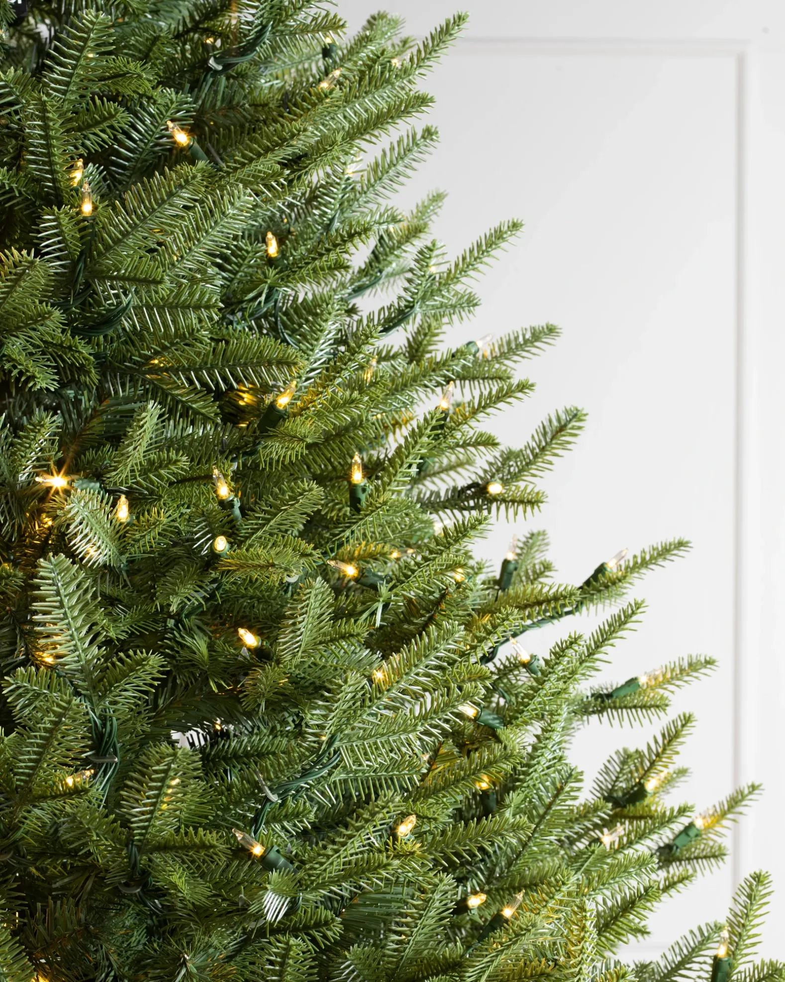 BH Balsam Fir® Trees