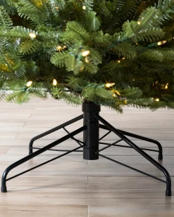 BH Balsam Fir® Trees