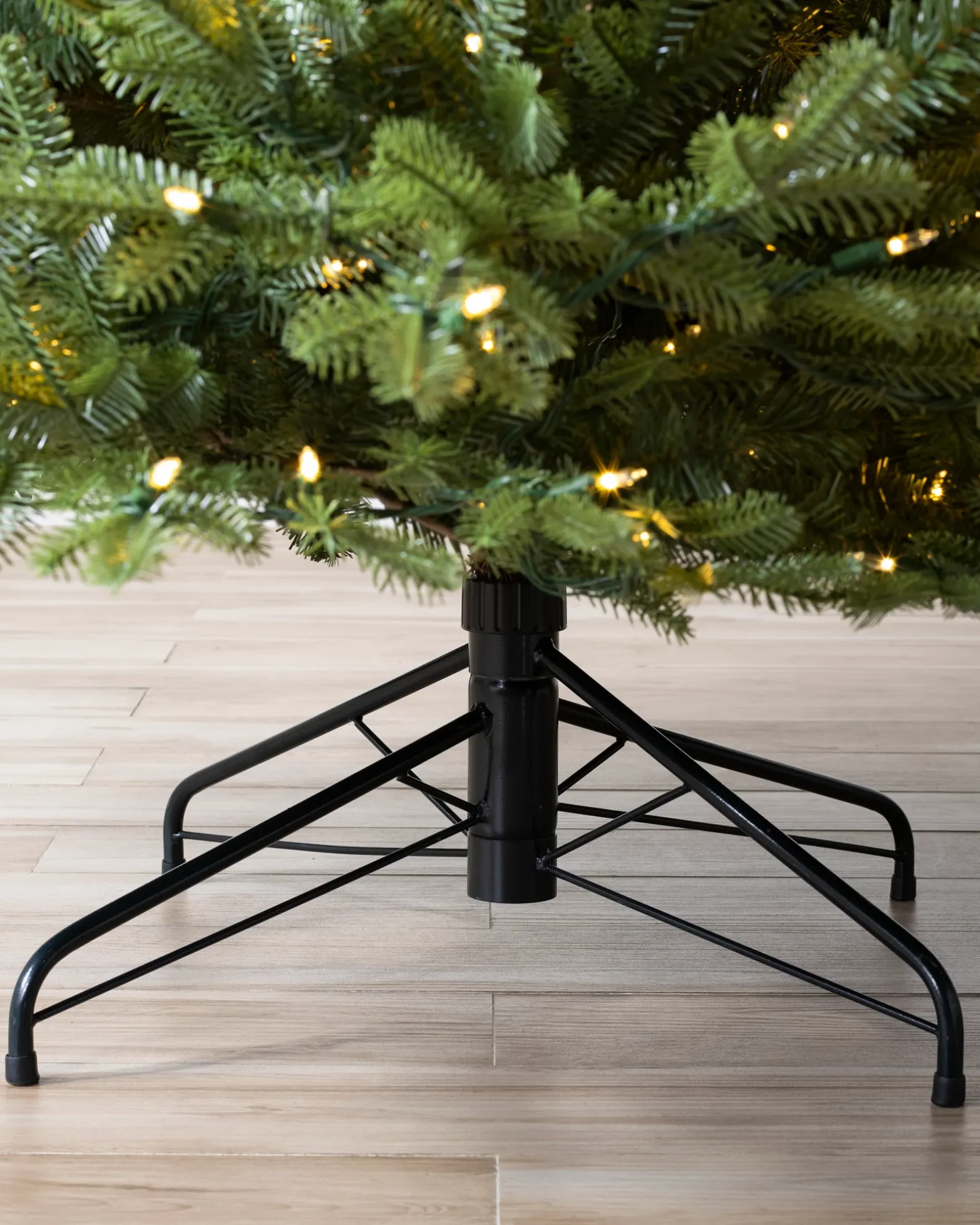 BH Balsam Fir® Trees