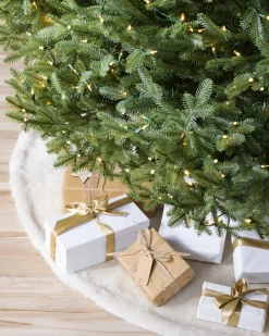 BH Balsam Fir® Trees
