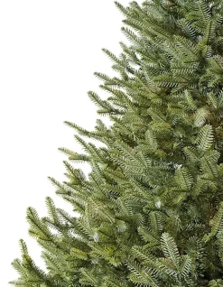 BH Balsam Fir® Trees