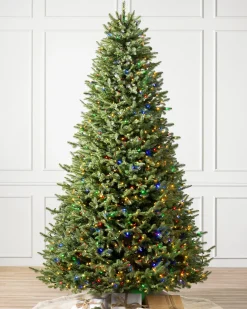 BH Balsam Fir® Trees