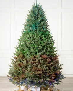 BH Balsam Fir® Trees
