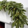 BH Fraser Fir Foliage